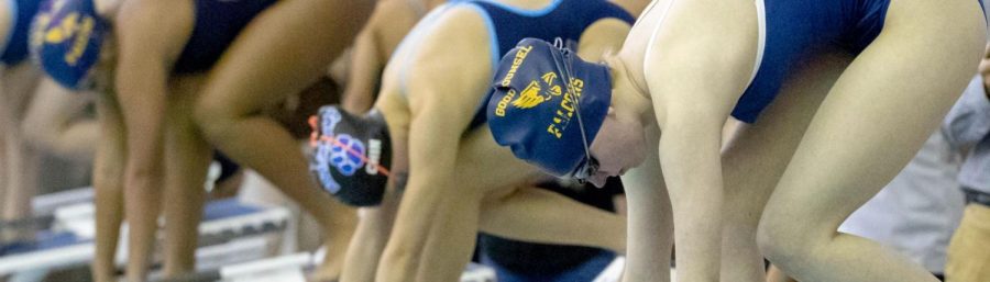 In the Pool, Life is Cool, Swimmers Rule