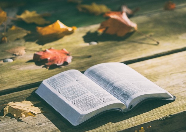 What is your favorite book to read in the fall? 
