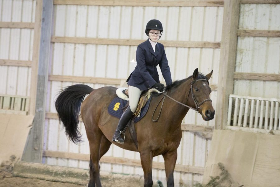 A member of the Good Counsel Equestrian (IEA) and Eventing (IEL) Team.