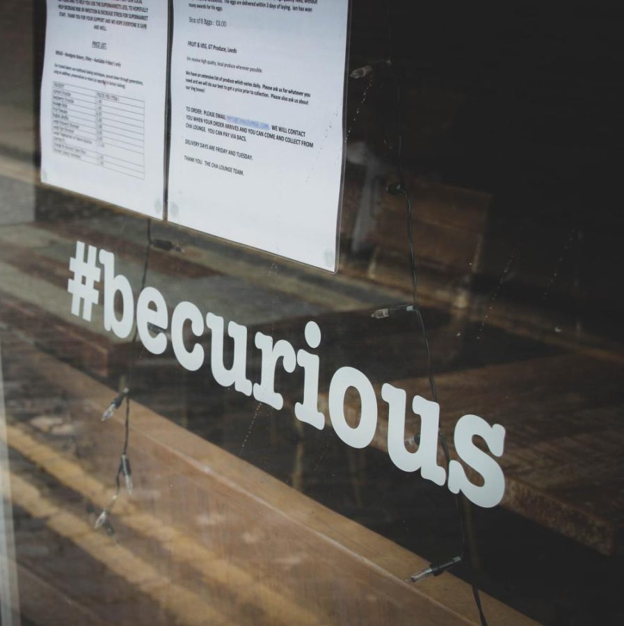 BE CURIOUS gary-butterfield-YG8rZ323UsU-unsplash