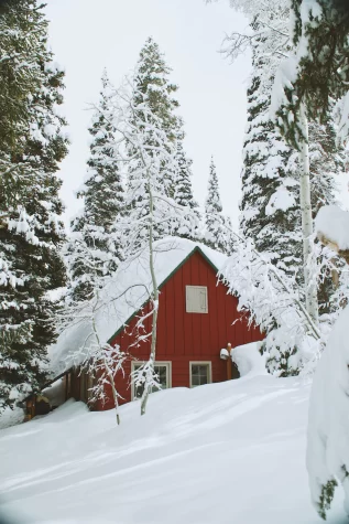 The Talons Weekly Trivia: More Snow!