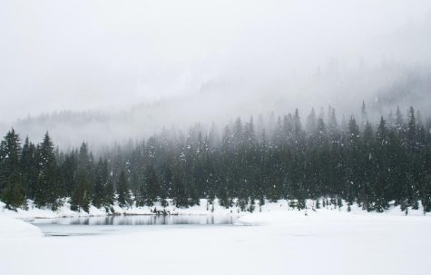 The Talons Weekly Poll: Snow!