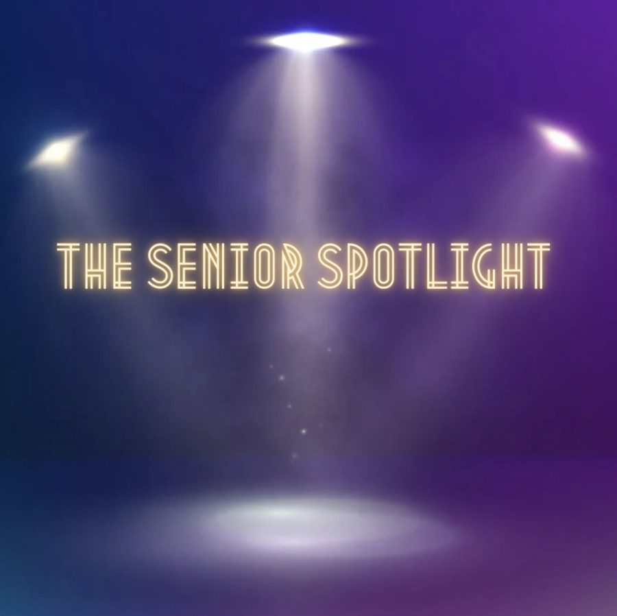 Introducing+the+Senior+Spotlight%21
