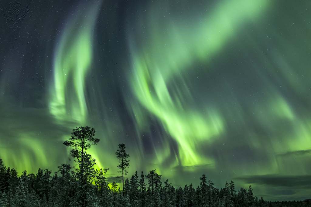 Northern Lights / Aurora borealis, weather phenomenon showing natural light display over Jokkmokk in winter, Norrbotten County, Lapland, Sweden.