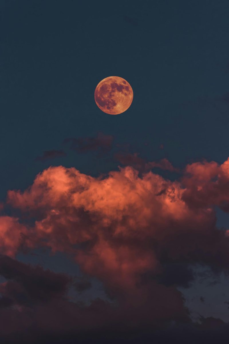 Altınay Dinç on Unsplash